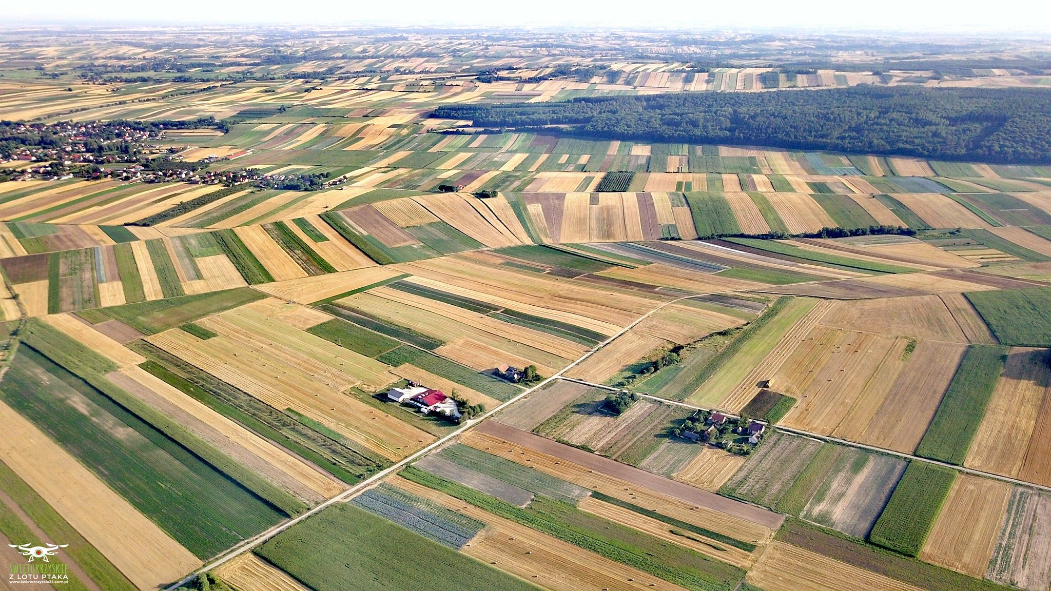 Производственный завод AGROPOLE – сушёные овощи, травы, специи